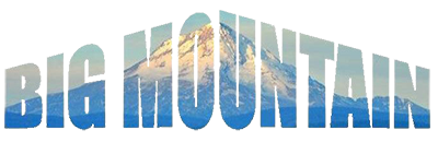 Big Mountain Masonry Logo